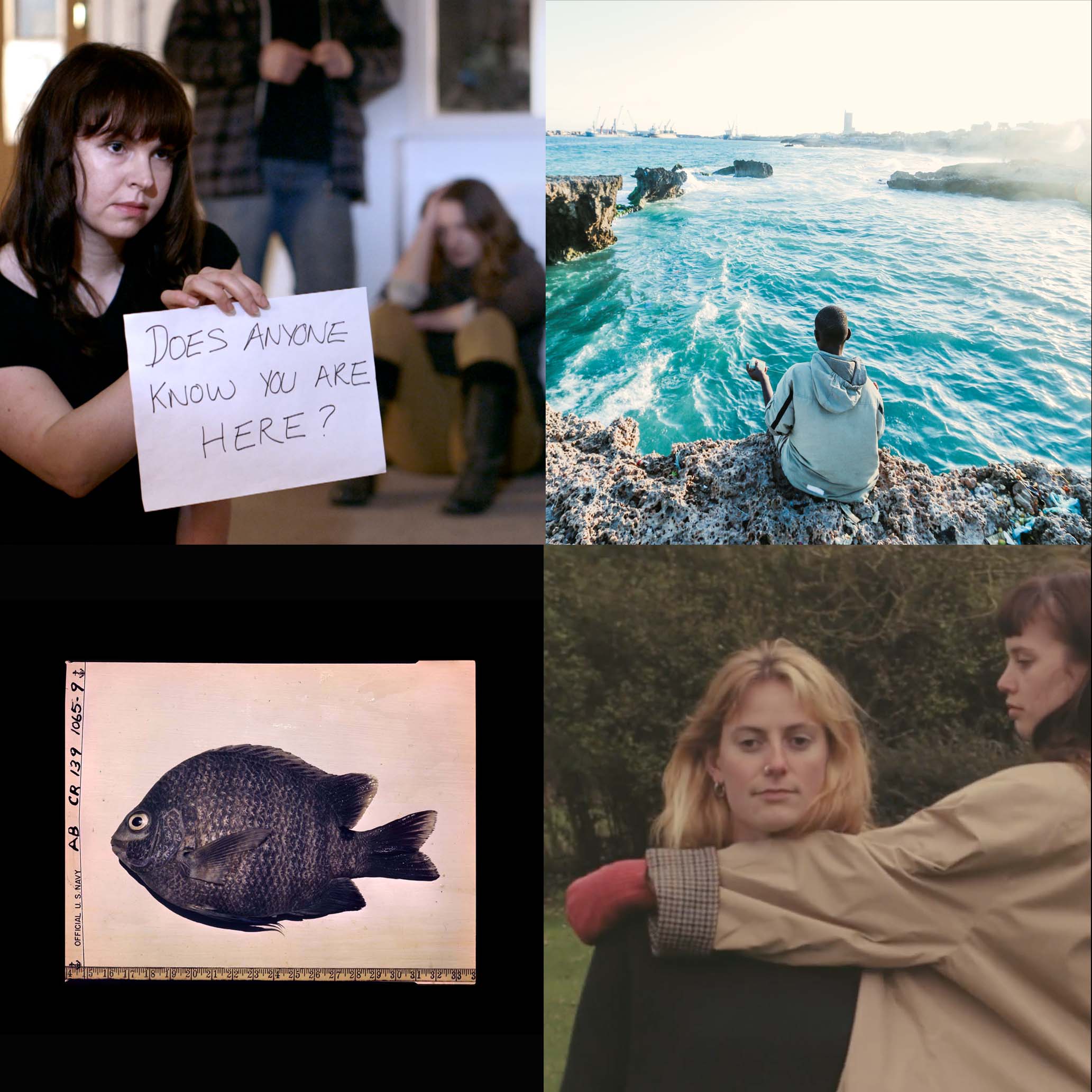 You are currently viewing Emerging curator short film programme coming to Scottish audiences online this Autumn